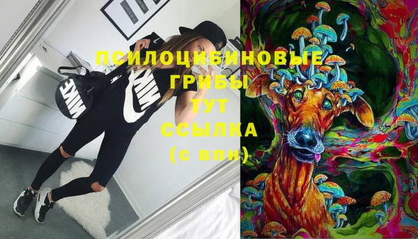 apvp Абаза